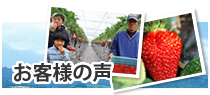 いちごや枝豆、とうもろこしなど産直通販の丹波市場、お客様の声