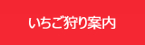 いちごや枝豆、とうもろこしなど産直通販の丹波市場、いちご狩り案内へ