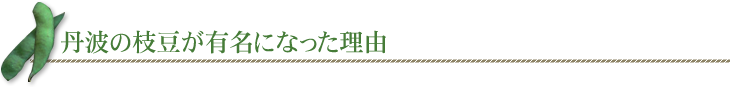 丹波の枝豆が有名になった理由