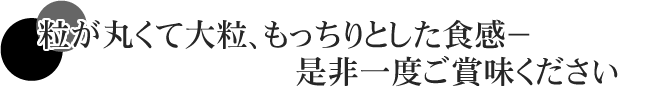 粒が丸くて大粒、もっちりとした食感。是非一度ご賞味ください。