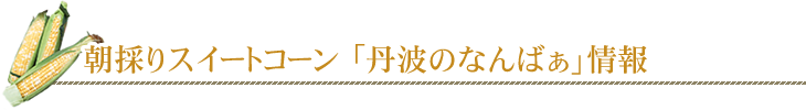 朝採りスイートコーン 「丹波のなんばぁ」情報