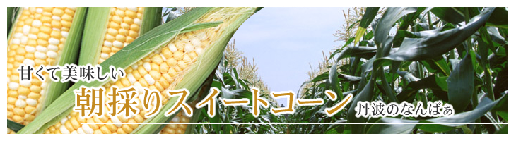 いちごや枝豆、とうもろこしなど産直通販の丹波市場、甘くて美味しい朝採りスイートコーン丹波のなんばぁ