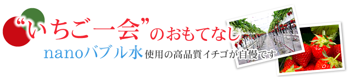 “いちご一会”のおもてなし nanoバブル水使用の高品質イチゴが自慢です