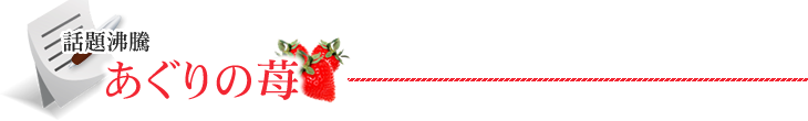 話題沸騰あぐりの苺