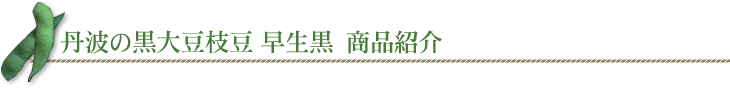 丹波の黒大豆枝豆 一番黒　商品紹介